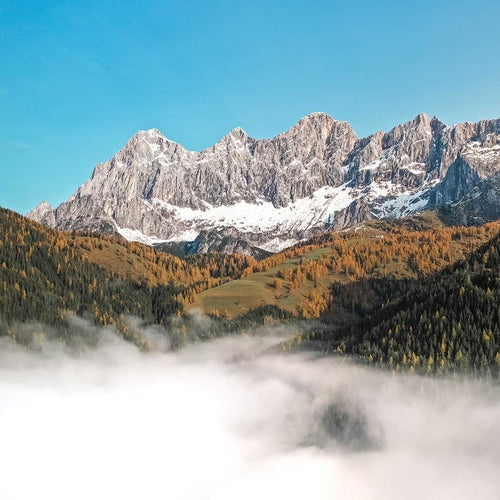 Waidzeit Dachstein Automatic Watch — Limited Edition