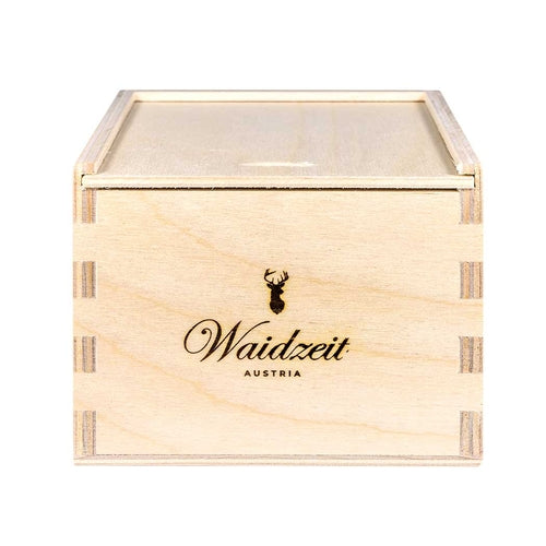 Waidzeit Dachstein Automatic Watch — Limited Edition